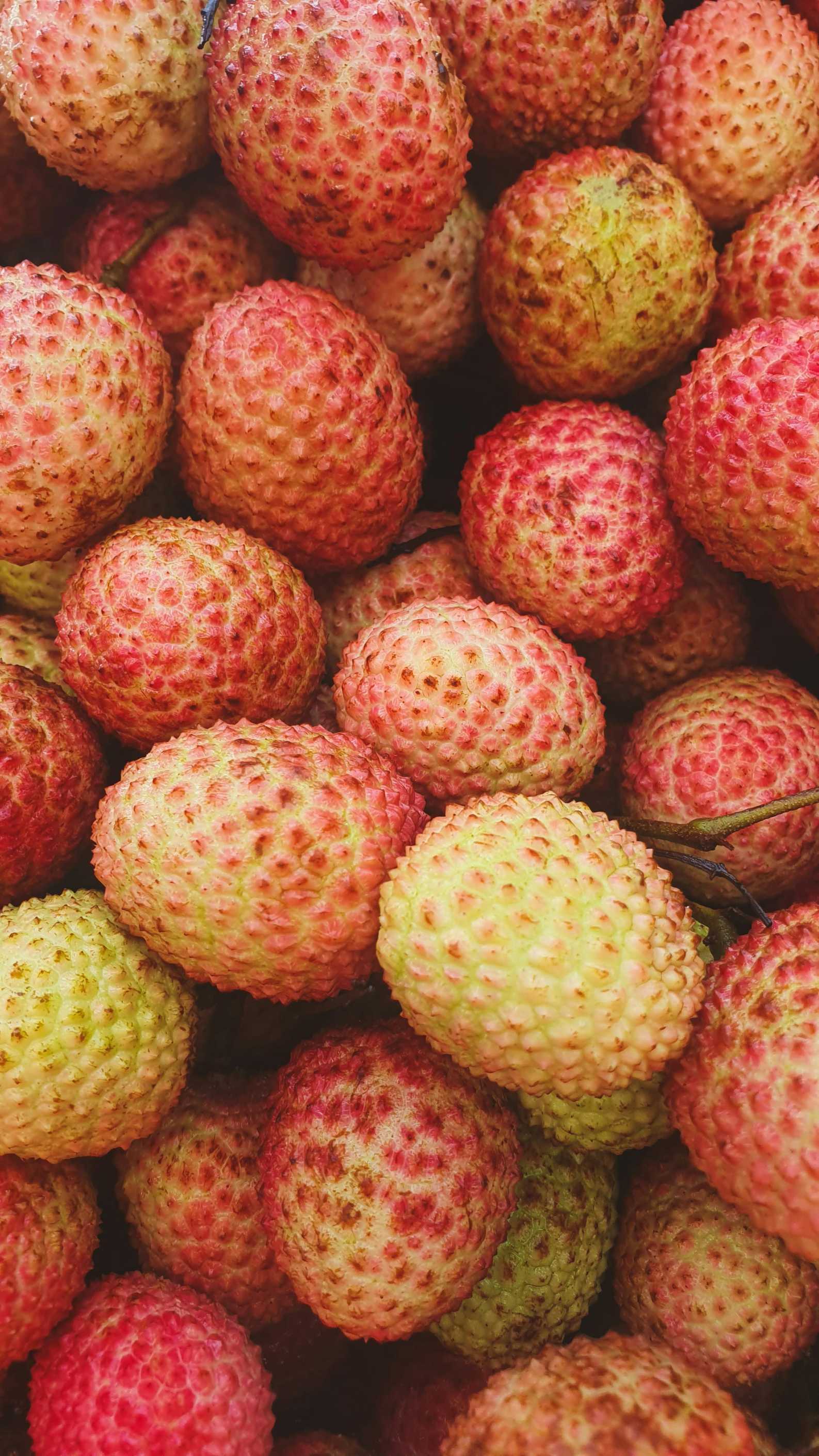 health benefits lychee