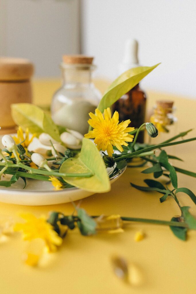 benefits of dandelion oil